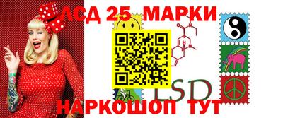 гидропоника Дубна
