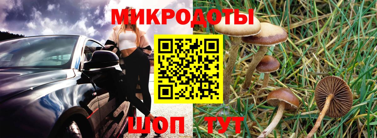 Конопля Лесосибирск